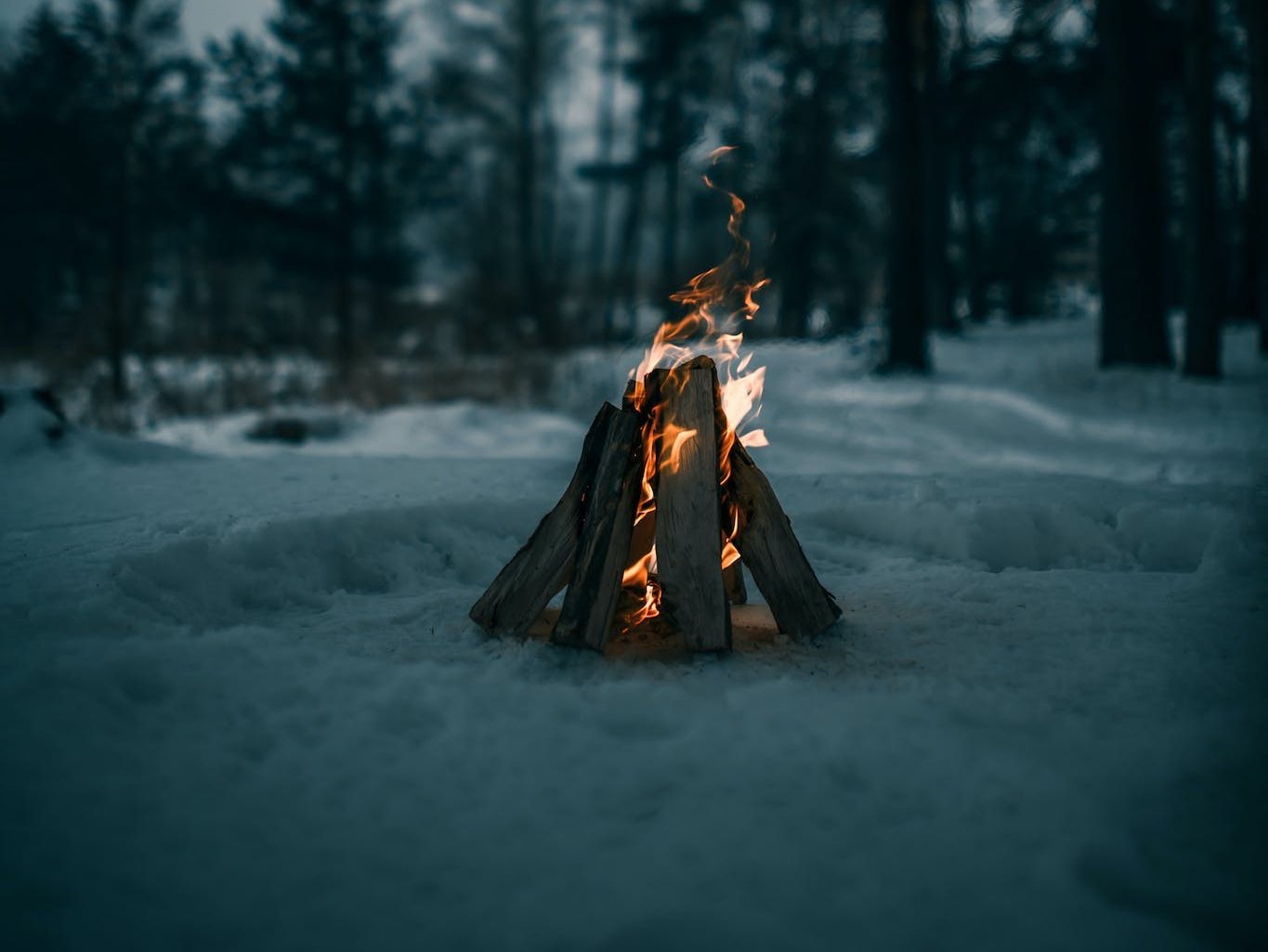 A Campfire on a Snow Covered Ground